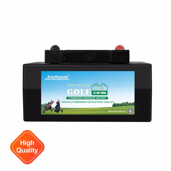 Batterie au lithium LiFePO4 haute capacité 12 V 16 Ah 18 Ah 24 Ah batterie au lithium/batterie L-Ion/pour camping-car, système solaire, yacht, voiturette de golf, Ess et batterie de voiture.