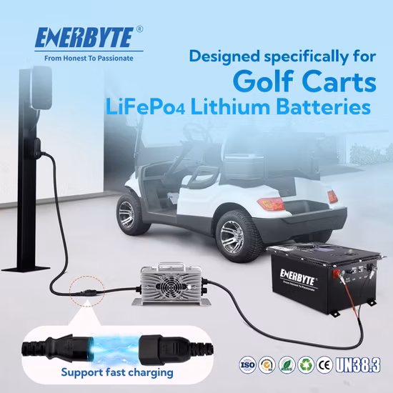 Batterie LiFePO4/batterie au lithium/batterie rechargeable 48V150ah pour voiturette de golf/ batterie de véhicule électrique/ batterie avec chargeur de batterie